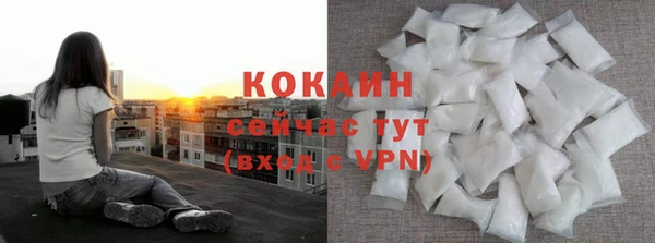 a pvp Новозыбков