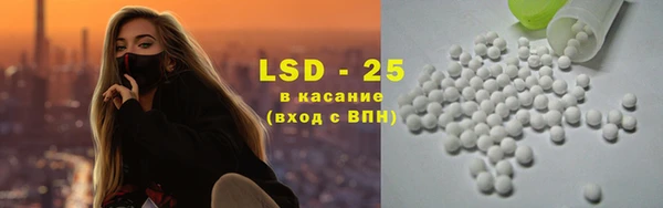 a pvp Новозыбков