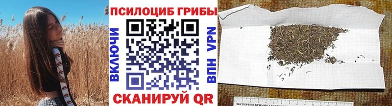 Псилоцибиновые грибы Magic Shrooms shop состав Поворино OMG tor